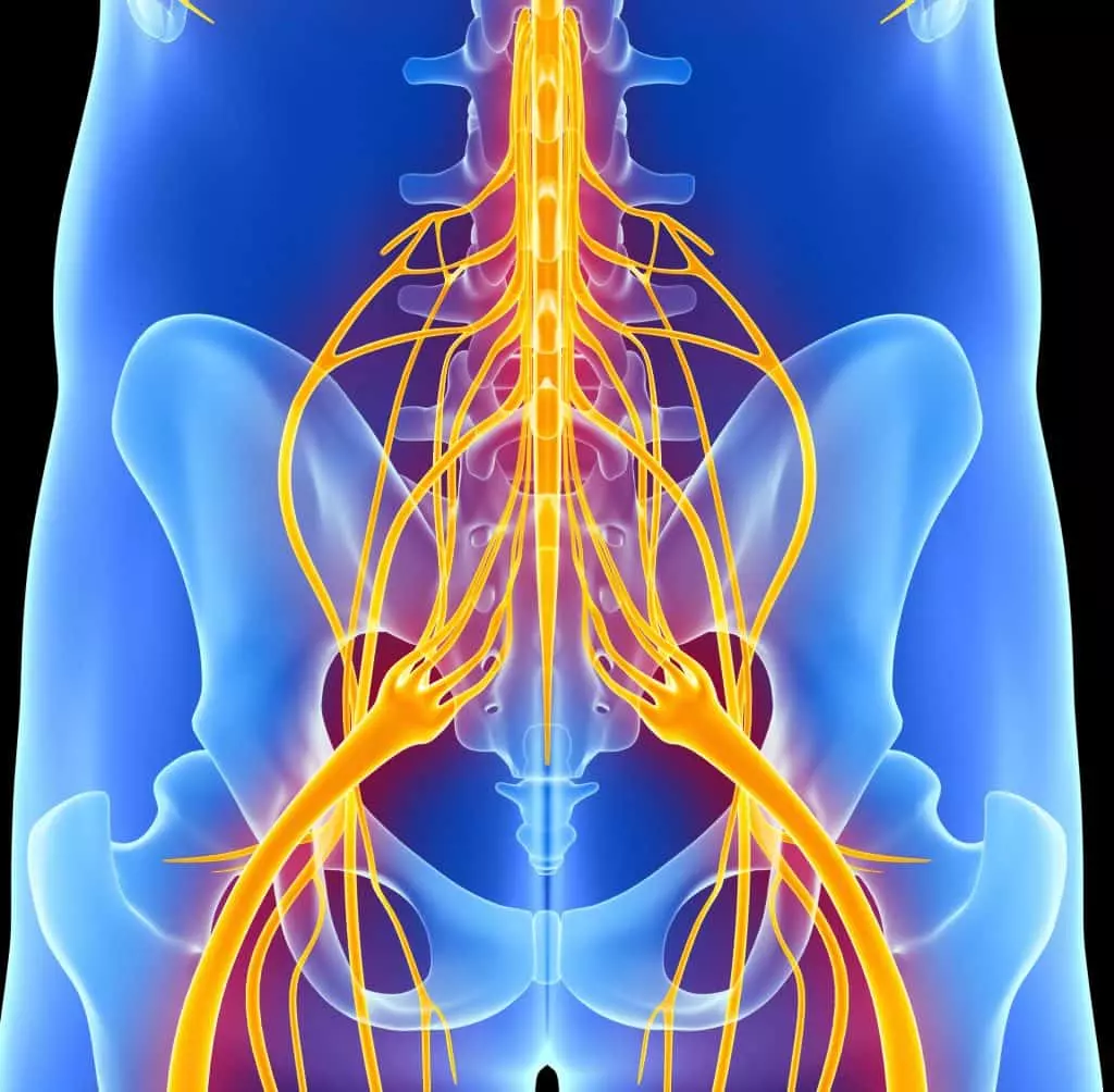 Service-connected conditions of the nerves of the low back and legs qualify for VA Disability.