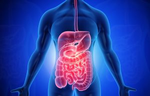 Changes coming to the ratings for the Digestive System